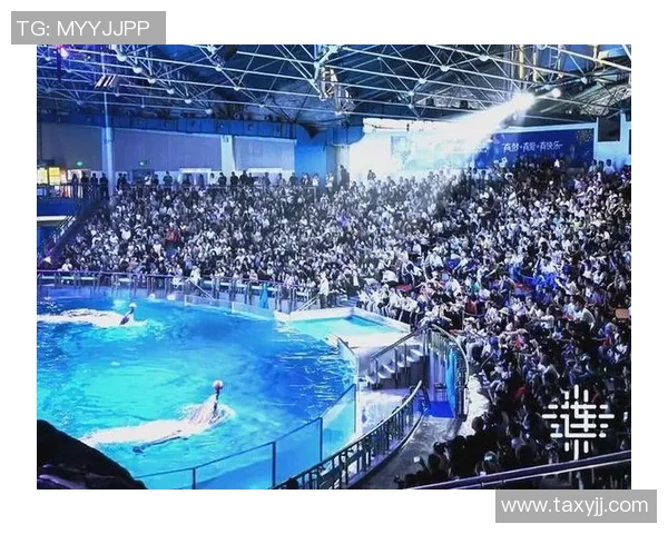 足球舞台演出盛典展现激情与梦想的完美结合