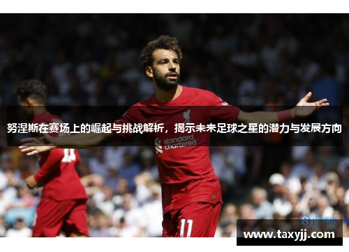 努涅斯在赛场上的崛起与挑战解析，揭示未来足球之星的潜力与发展方向