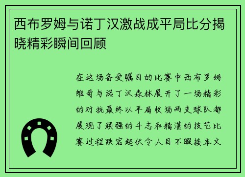 西布罗姆与诺丁汉激战成平局比分揭晓精彩瞬间回顾
